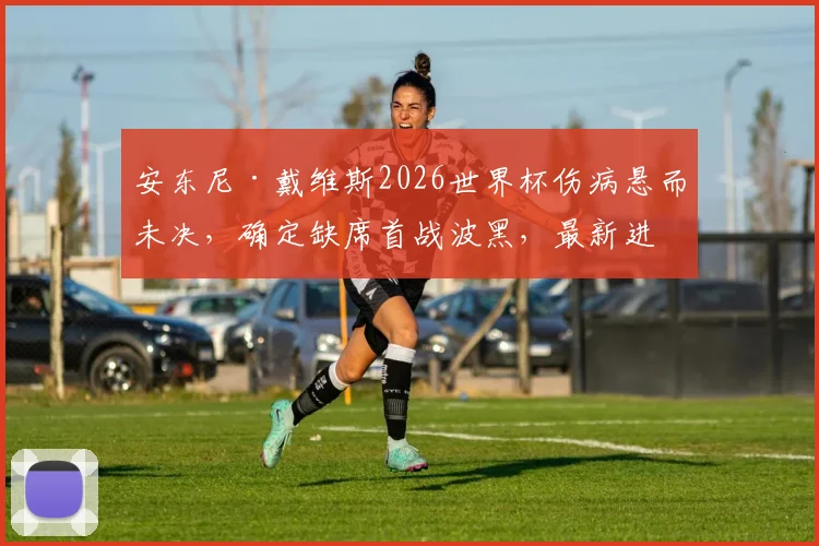 安东尼·戴维斯2026世界杯伤病悬而未决，确定缺席首战波黑，最新进展与后续影响分析